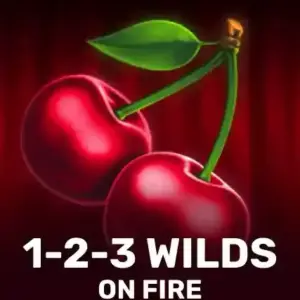 1-2-3 Wilds on Fire