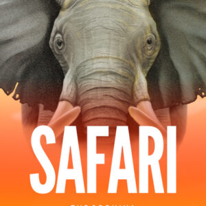 Safari