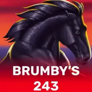 Brumby's 243