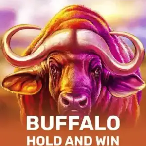 Buffalo Hold and Win