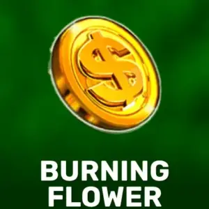 Burning Flower
