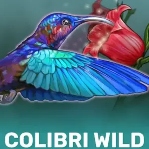 Colibri Wild