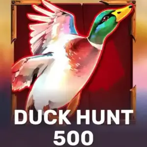 Duck Hunt 500