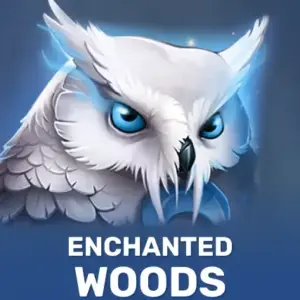 Enchanted Woods