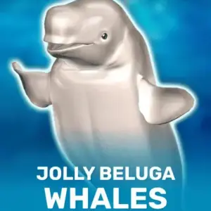 Jolly Beluga Whales
