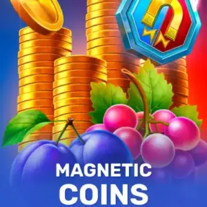 Magnetic Coins