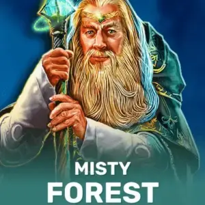 Misty Forest