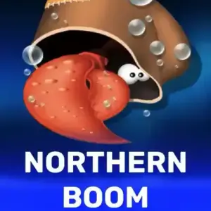Northern Boom
