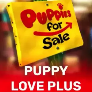 Puppy Love Plus