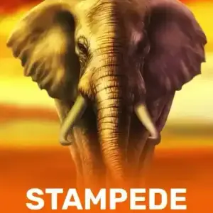 Stampede