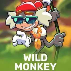 Wild Monkey