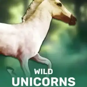 Wild Unicorns