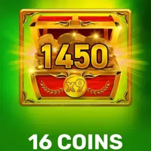 16 Coins