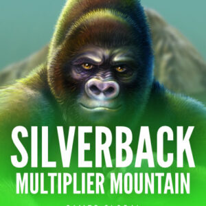 Silverback Multiplier Mountain