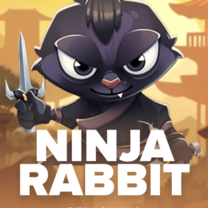 Ninja Rabbit