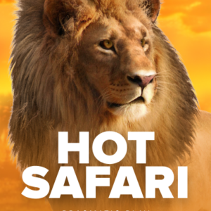 Hot Safari