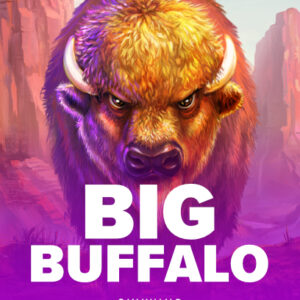 Big Buffalo