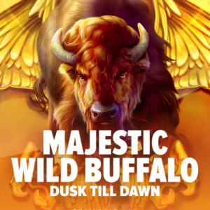 Majestic Wild Buffalo - Dusk Till Dawn