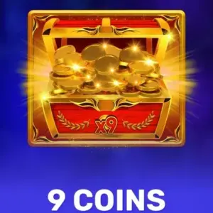 9 Coins
