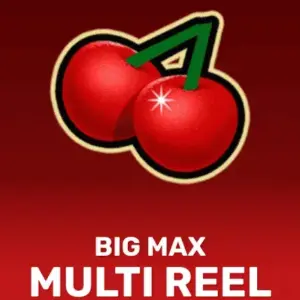 Big Max Multi Reel