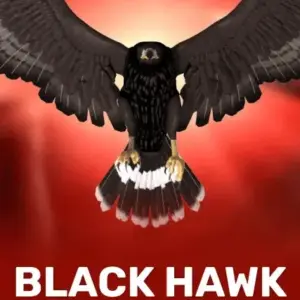 Black Hawk