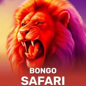 Bongo Safari