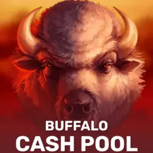 Buffalo: Cash Pool