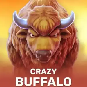 CRAZY BUFFALO