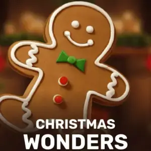 Christmas Wonders