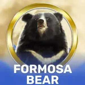 Formosa Bear