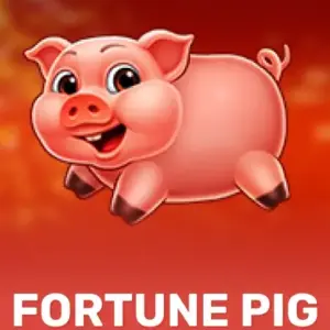 Fortune Pig