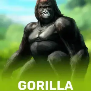 Gorilla