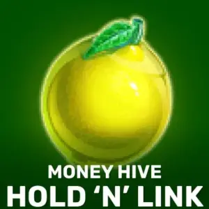 Money Hive Hold n Link