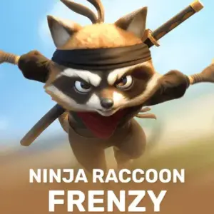 Ninja Raccoon Frenzy