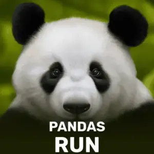Panda's Run
