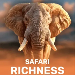 Safari Richness