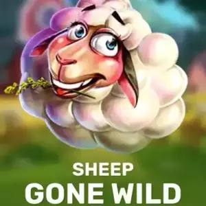 Sheep Gone Wild