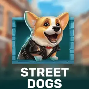 Street Dogs