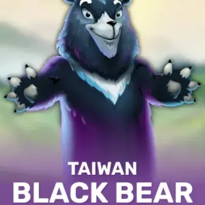 Taiwan Black Bear