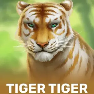 Tiger Tiger