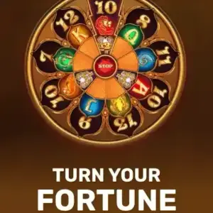Turn Your Fortune