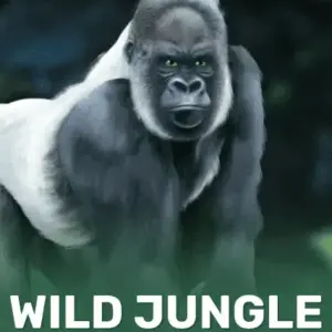 Wild Jungle