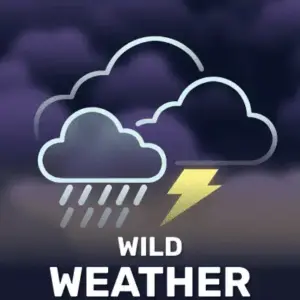 Wild Weather