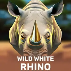 Wild White Rhino