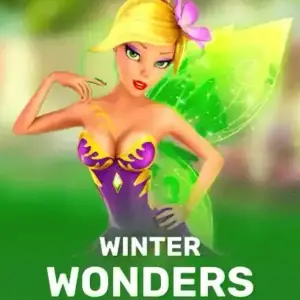 Winter Wonders