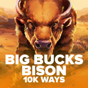 Big Bucks Bison 10K Ways