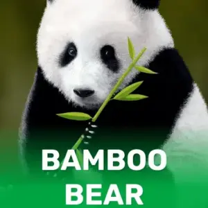 Bamboo Bear