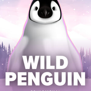 Wild Penguin