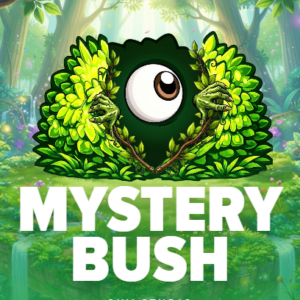Mystery Bush